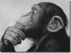 monkey-thinking